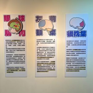 文字總是看不懂展覽